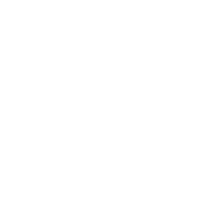 Z Shoes logo
